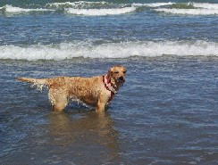 Mi primer contacto con el mar.